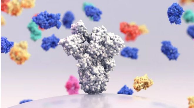 Phát hiện của các nhà khoa học CHUV và EPFL được xuất bản trên tạp chí uy tín Cell Reports.