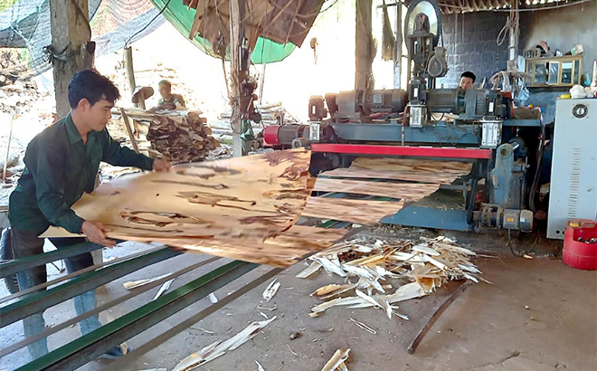 Xưởng chế biến gỗ rừng trồng của Hợp tác xã Đạt Thành tạo việc làm cho nhiều lao động địa phương.