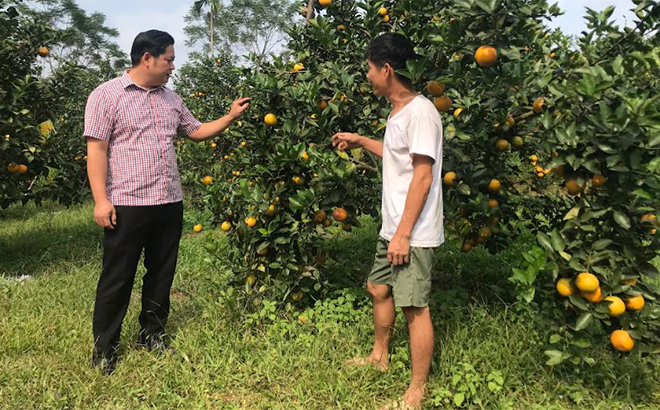 Bí thư Đảng ủy xã Mai Sơn Hoàng Trung Chinh (bên trái) trao đổi với người dân về phát triển cây ăn quả.