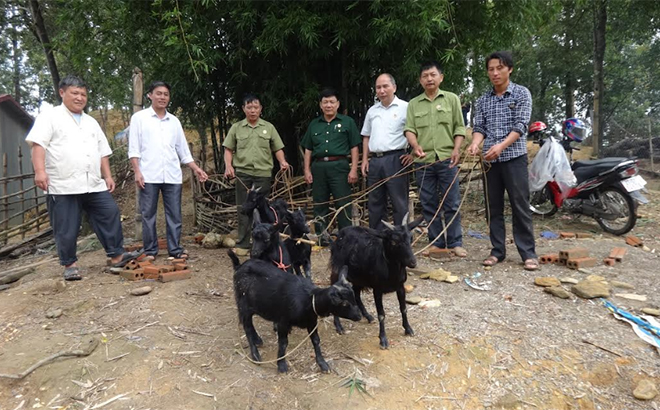 Members of the war veteran association in Mo De commune raise goats as a source of income.