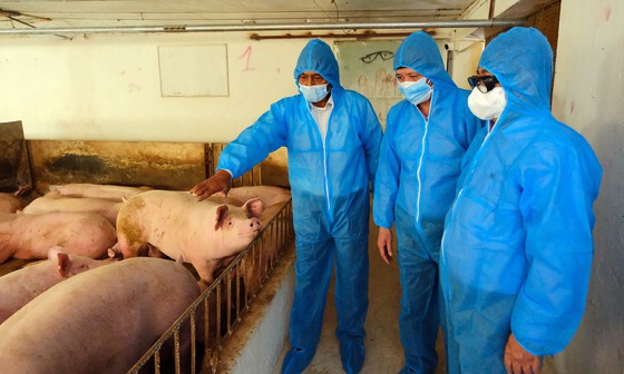 Bộ trưởng Bộ NN-PTNT Lê Minh Hoan khảo sát tình hình chăn nuôi tại HTX Chăn nuôi Hoàng Long (xã Tân Ước, huyện Thanh Oai - Hà Nội).