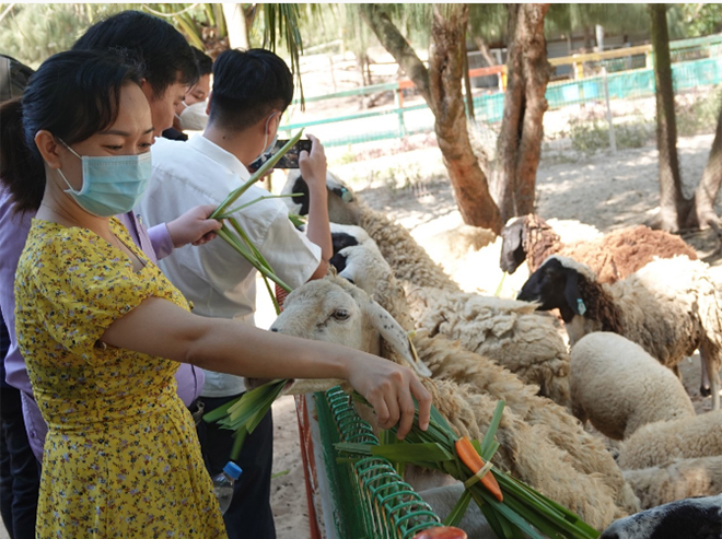 Khách du lịch tham quan tại xã đảo Nhơn Châu.