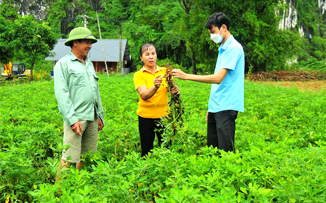 Bà Bùi Thị Phượng - Bí thư Chi bộ thôn Làng Mới, xã Mông Sơn, huyện Yên Bình trao đổi với các đảng viên về việc phát triển nông nghiệp trên địa bàn.