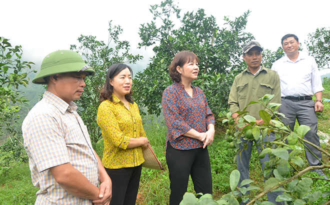 Phó Chủ tịch HĐND tỉnh Hoàng Thị Thanh Bình (đứng giữa) cùng các ban của HĐND tỉnh giám sát việc thực hiện chính sách hỗ trợ sản xuất nông - lâm nghiệp và thủy sản tại xã Hồng Ca, huyện Trấn Yên.