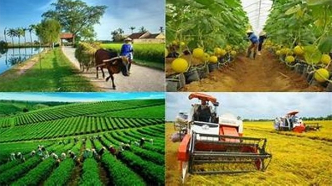 Năm 2023 ghi dấu lần đầu tiên tôn vinh 63 HTX nông nghiệp tiêu biểu.