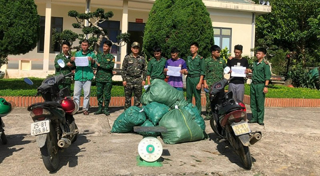 Các bao tải có các củ cây, lá cây thực vật nghi là cây sâm, tổng trọng lượng gần 160kg.