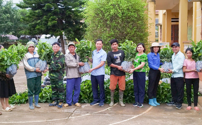 Cán bộ, viên chức, giảng viên, học viên Trường Chính trị tỉnh trao cây quế giống cho các hộ nghèo tại xã Nghĩa Sơn, huyện Văn Chấn.