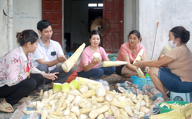 Từ đầu năm đến nay, nhân dân Thượng Bằng La đã hoàn thành các chỉ tiêu kế hoạch sản xuất theo đúng nghị quyết HĐND xã thông qua.