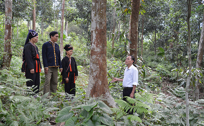 Lãnh đạo xã Viễn Sơn trao đổi với người dân về phát triển và giữ vững Chỉ dẫn địa lý cây quế.