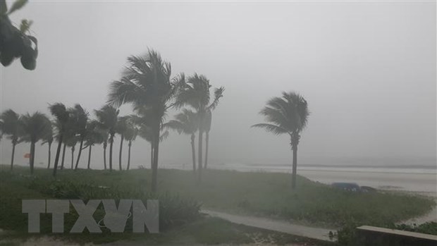 Mưa lớn kèm gió to tại biển Mỹ Khê, quận Sơn Trà, thành phố Đà Nẵng