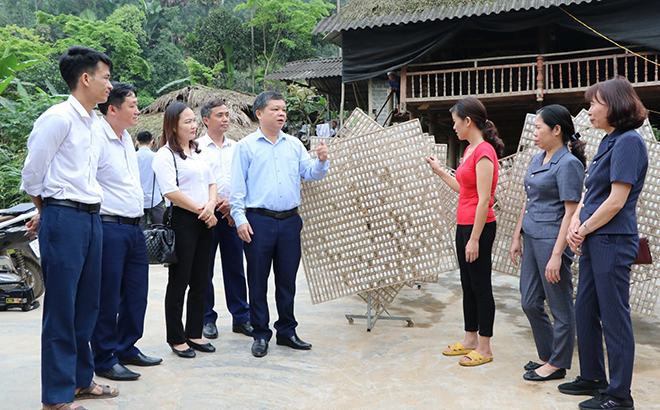 Lãnh đạo huyện Trấn Yên kiểm tra mô hình nuôi tằm ở xã Hồng Ca.