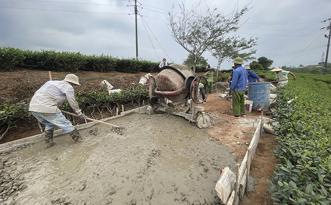 Nhân dân thị trấn nông trường Liên Sơn tham gia kiên cố hóa
đường giao thông nông thôn.