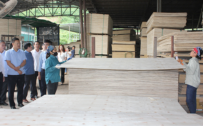 Các đồng chí lãnh đạo tỉnh và huyện Yên Bình tham quan xưởng sản xuất, chế biến gỗ Hoàng Thảo, xã Hán Đà.