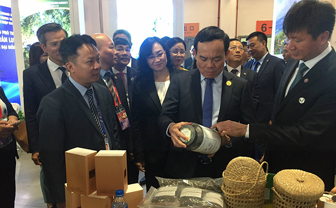 Yen Bai's delegation participates in the import-export fair in Kunming, China. In the photo: Tran Huy Tuan, Deputy Secretary of the Yen Bai Party Committee, Chairman of the provincial People's Committee, introduces Yen Bai's products displayed at the fair to Deputy Prime Minister Tran Luu Quang.