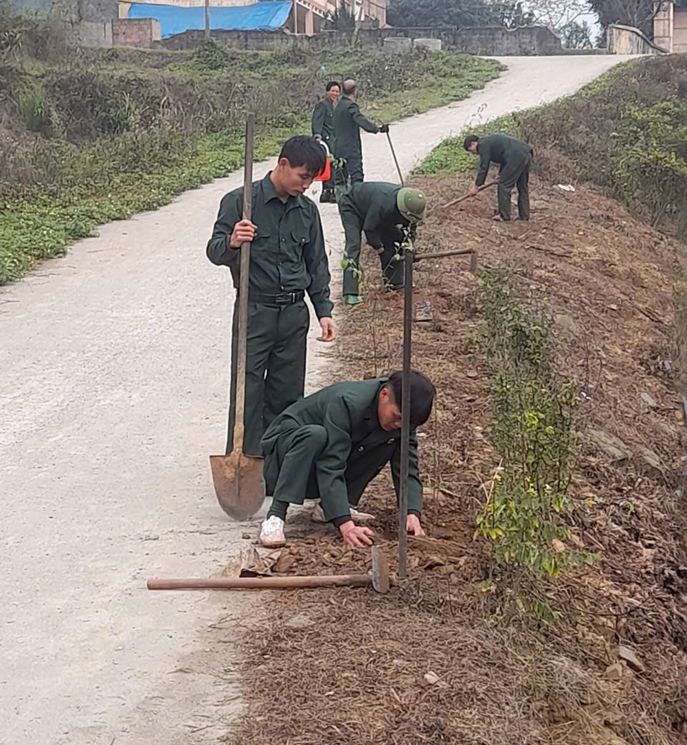 Cán bộ, hội viên cựu chiến binh xã Nậm Búng tham gia trồng cây xanh trên tuyến đường liên thôn Nậm Chậu - Sài Lương.