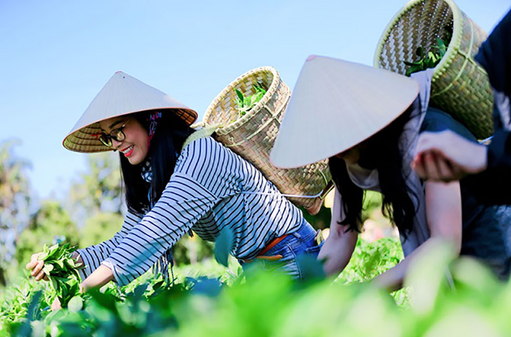 Với du lịch sáng tạo, du khách không chỉ dừng lại ở hoạt động chiêm ngưỡng, ngắm nhìn mà trực tiếp tham gia, trải nghiệm.