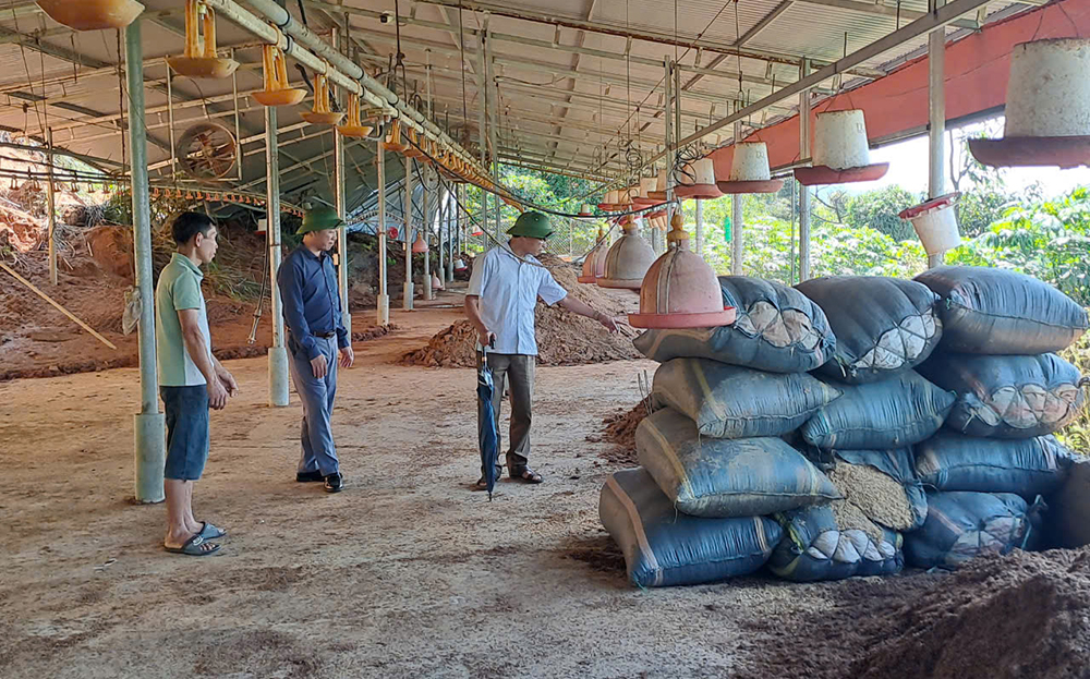 Lãnh đạo Liên minh HTX tỉnh thăm khu chăn nuôi gà của HTX MQ xã Minh Quán, huyện Trấn Yên bị thiệt hại do bão lũ.