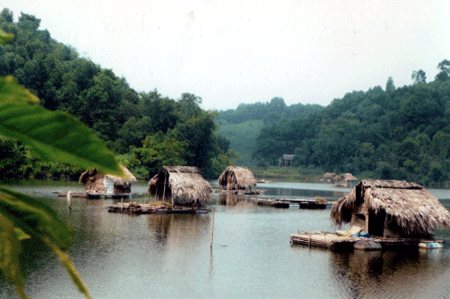 Nuôi cá lồng trên Đầm Hậu (Minh Quân).