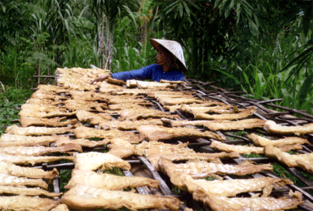 Sản phẩm măng mai ở Lâm Thượng.