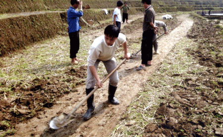 Cán bộ Khuyến nông hướng dẫn đồng bào Mông Mù Cang Chải chuẩn bị các điều kiện để gieo mạ làm lúa vụ 2.
