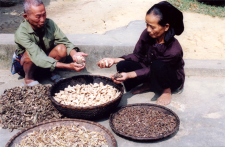 Các ông lang, bà mế dân tộc Mường trao đổi về các loại thuốc và công dụng chữa bệnh.
