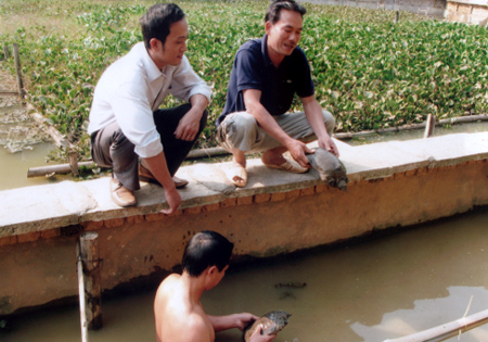 Anh Đặng Tiến Đạt (người bên phải) trao đổi với cán bộ xã Thịnh Hưng về mô hình nuôi ba ba của mình.
