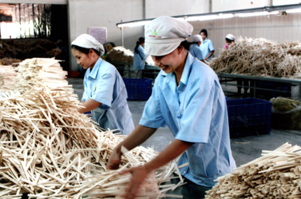Sản xuất đũa tại Công ty cổ phần Chế biến lâm sản Hoàng Lâm trong Khu công nghiệp Đầm Hồng, thành phố Yên Bái.
(Ảnh: Quang Thiều)
