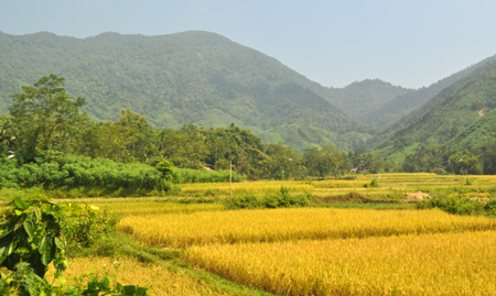 Nhiều diện tích lúa, hoa màu, nhà ở dân cư cùng thôn Trại Máng xã Vũ Linh quy hoạch nằm trong vành đai rừng phòng hộ đầu nguồn.