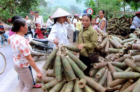 Nghề đan rọ tôm ở Yên Bình mang lại nguồn thu nhập ổn định cho người dân.