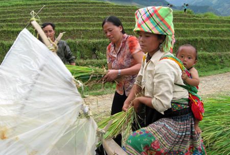 Năm 2012, huyện Trạm Tấu phấn đấu giảm 5% hộ nghèo (tương ứng giảm nghèo 250 hộ).