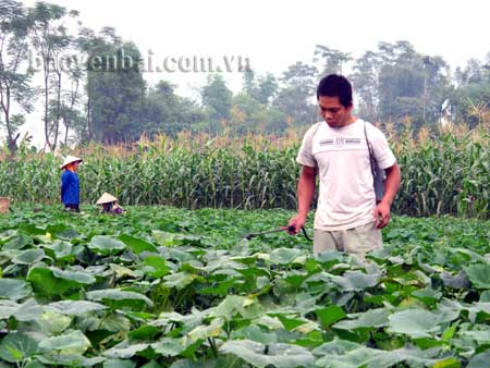 Gia đình anh Lò Văn Bút ở Bản Vệ, xã Nghĩa An phun thuốc sinh học phòng trừ sâu bệnh cho rau bí.