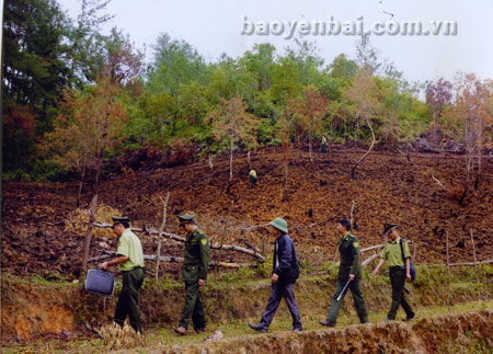 Cán bộ kiểm lâm Mù Cang Chải tuần tra, bảo vệ rừng tại xã Púng Luông. (Ảnh: Tuấn Nghĩa)

