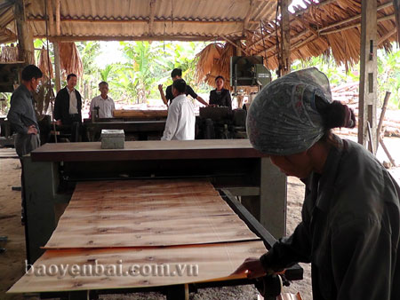 Dây chuyền chế biến gỗ của gia đình hội viên Nguyễn Văn Thơ ở xã Phúc Lộc.

