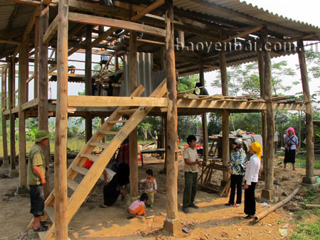 Người dân tổ 17, phường Pú Trạng (thị xã Nghĩa Lộ) làm nhà sàn truyền thống.