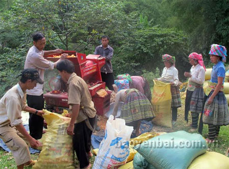 Tình hình an ninh trật tự được bảo đảm, nhân dân trong xã yên tâm lao động sản xuất, vươn lên xóa đói, giảm nghèo.
