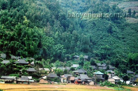 Bản Thái ở trung tâm huyện Mù Cang Chải với những ngôi nhà sàn truyền thống rất thuận tiện cho du lịch cộng đồng.