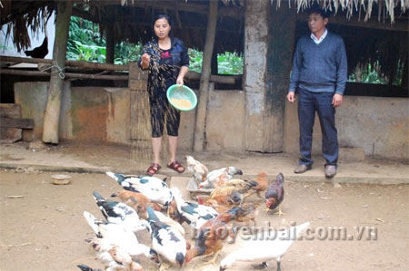 Gia đình chị Nguyễn Thị Lĩnh thoát nghèo nhờ sử dụng vốn vay hiệu quả.
