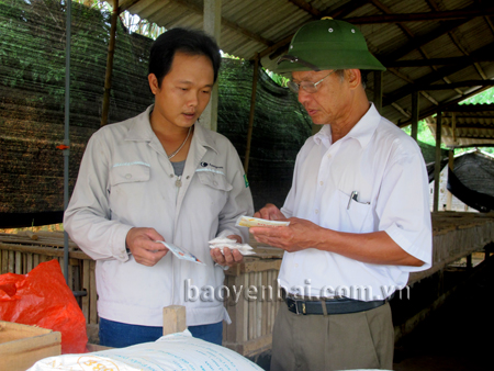 Giám đốc Quang trao đổi với các chủ trại thỏ vệ tinh về cách phòng bệnh cho thỏ.
