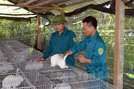 Anh Nguyễn Thành Công (bên trái) luôn nhiệt tình chia sẻ kinh nghiệm cho những người cùng nuôi thỏ.