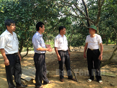 Ông Lý Công Lợi (bên phải) giới thiệu vườn bưởi Khả Lĩnh của gia đình ông với cán bộ xã Yên Bình.