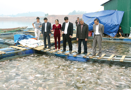Tổng hợp hơn 59 về mô hình nuôi thủy sản hay nhất  Tin học Đông Hòa