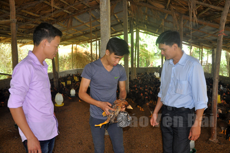 Hội viên Nguyễn Mạnh Hưng ở thôn 3, thị trấn Cổ Phúc (đứng giữa) đang chia sẻ kinh nghiệm trong chăn nuôi gà.