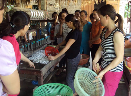 Lớp học nghề sơ chế kén tằm tại xã Tân Đồng.