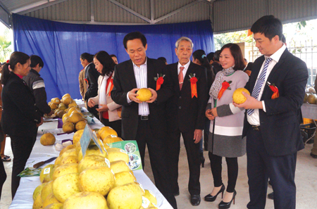 Đồng chí Nguyễn Văn Khánh - Phó chủ tịch UBND tỉnh cùng lãnh đạo huyện Yên Bình, tham quan gian trưng bày sản phẩm bưởi Đại Minh, dịp huyện Yên Bình đón nhận Giấy chứng nhận nhãn hiệu 