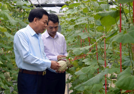 Đồng chí Nguyễn Văn Khánh  - Phó Chủ tịch UBND tỉnh thăm mô hình thực nghiệm trồng dưa công nghệ cao tại xã Âu Lâu, thành phố Yên Bái.