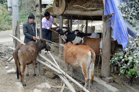 Cán bộ xã Khao Mang trao đổi với người dân về việc nuôi nhốt, dự trữ thức ăn cho gia súc trong mùa đông.