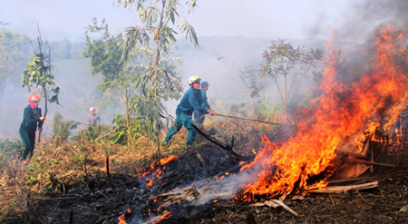 Diễn tập phòng cháy chữa cháy rừng - tìm kiếm cứu nạn tại xã Phù Nham, huyện Văn Chấn.