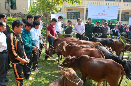 Viettel Yên Bái tặng bò nái cho hộ nghèo huyện Mù Cang Chải.