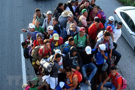 Người di cư Honduras bắt xe tải ở Mapastepec tới bang Pijijiapan Chiapas, Mexico, chờ cơ hội sang Mỹ ngày 25/10/2018.