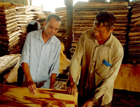 Ông Phạm Minh Hoạt (bên trái) kiểm tra chất lượng ván bóc trước khi xuất xưởng.